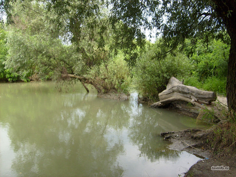 Река Курка