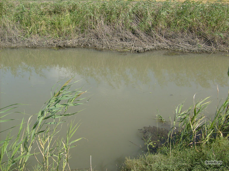 Канал рисовой системы