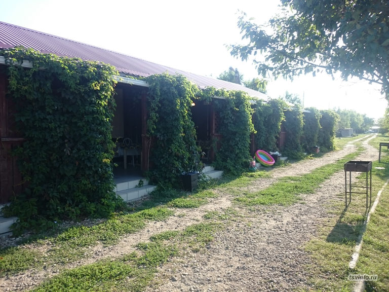 Кубанский хутор, август 2019