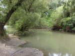 Река Курка, июль 2012